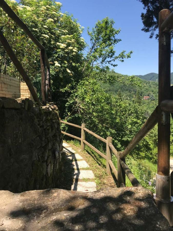 Antica Dimora Di Laura Lejlighed Barberino di Mugello Eksteriør billede
