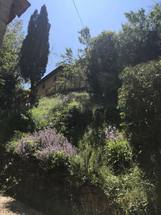 Antica Dimora Di Laura Lejlighed Barberino di Mugello Eksteriør billede